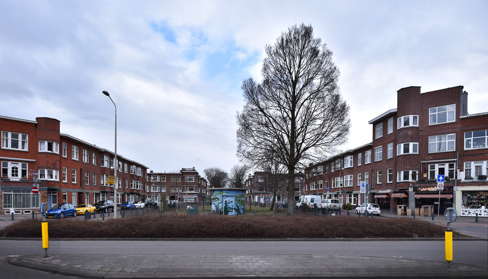 dakopbouwen bloen en vruchtenbuurt nieuwe haagse school